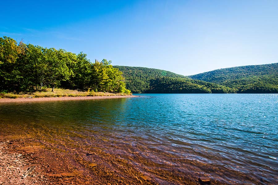Blog - View of Colorful Lake Surrounded by Forests in Pennsylvania